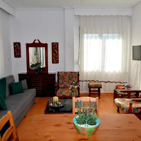 Zeusplace Georgia House Apartment Leptokaryá